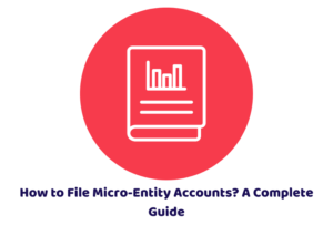 How to File Micro-Entity Accounts? A Complete Guide