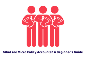 What are Micro Entity Accounts? A Beginner's Guide