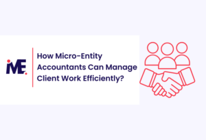 How Micro-Entity Accountants Can Manage Client Work Efficiently?