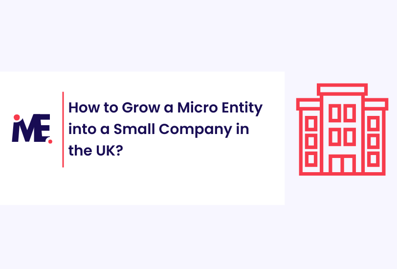 How to Grow a Micro Entity into a Small Company in the UK?